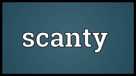 scanty 뜻, 그것은 우리에게 어떤 의미를 줄 수 있을까?